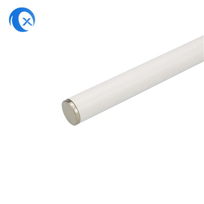 antenne omnidirectionnelle de station de base de fibre de verre de 2.4G WiFi avec le connecteur masculin de SMA