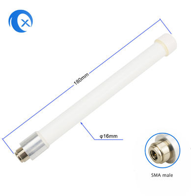 antenne imperméable de fibre de verre de 5G 5.8G 5dBi avec le connecteur masculin de SMA